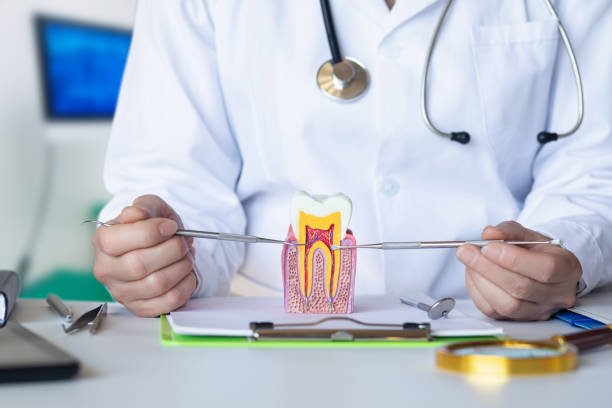Best Emergency Pediatric Dental Care in Cleveland, TX